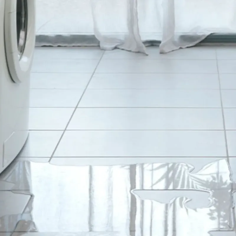 Appliance Leak Cleanup in Bristol, IN