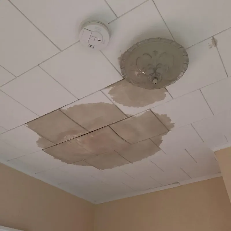Ceiling Water Damage Repair in Bristol, IN