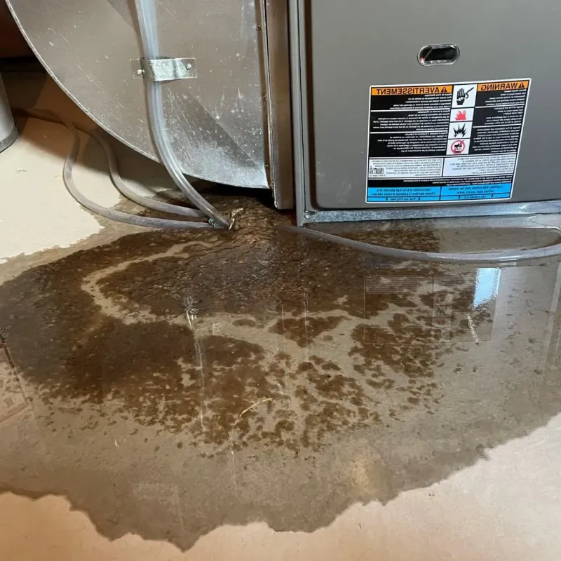 Pipe Burst and Leak Restoration in Bristol, IN