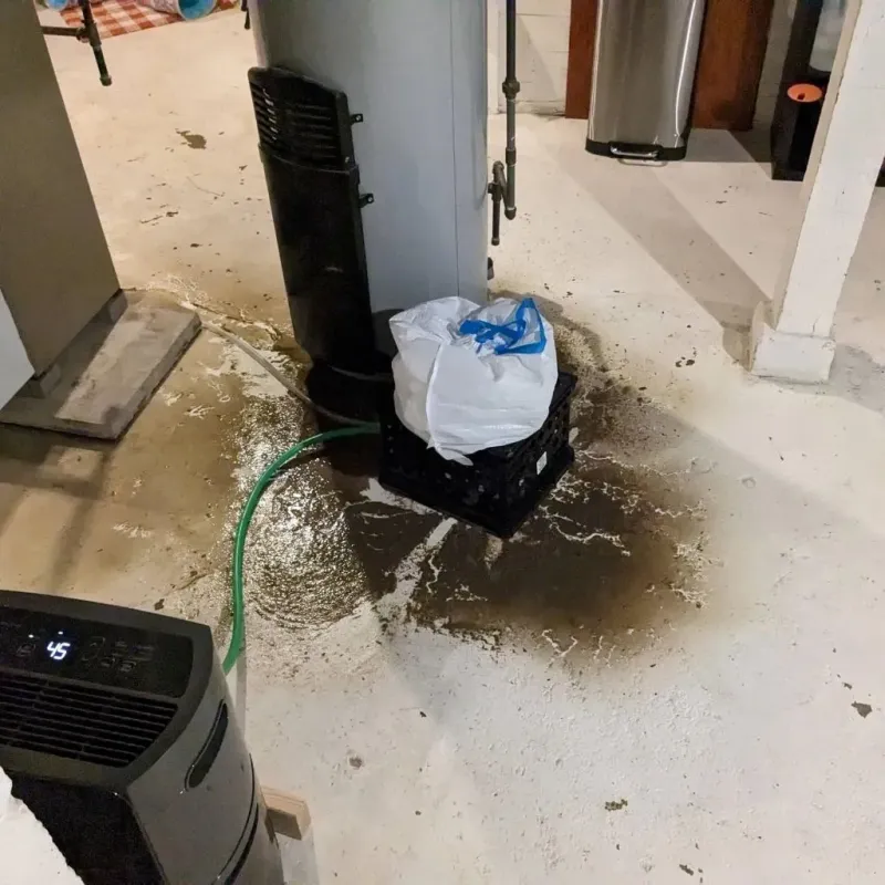Sewage Backup Cleanup Service in Bristol, IN